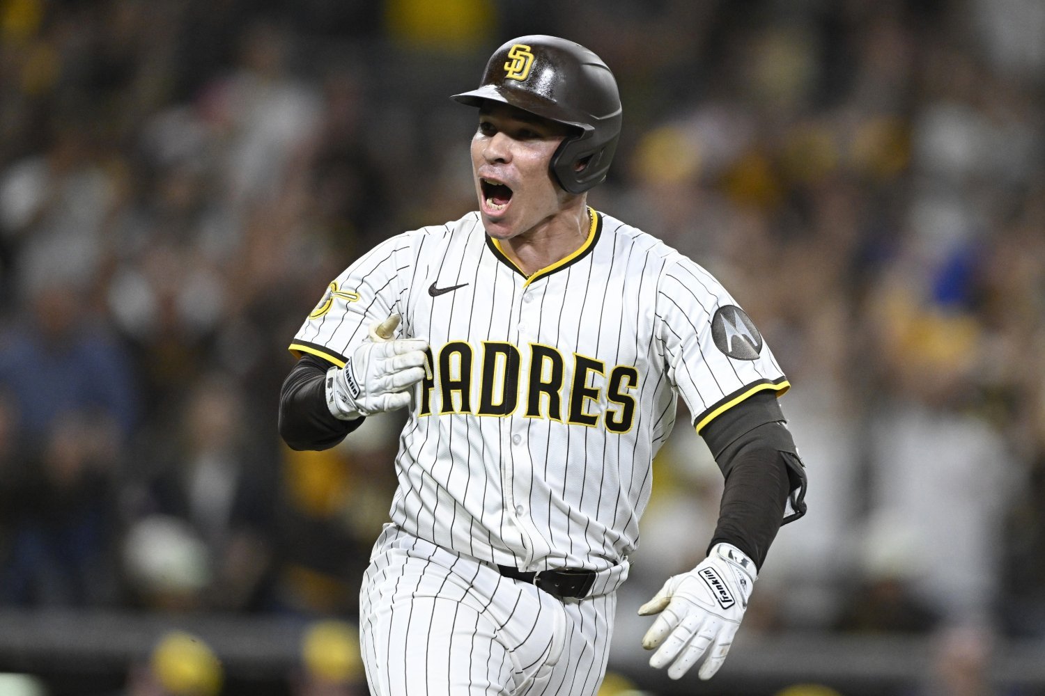 More information about "San Diego Padres Arbitration Decisions & Projections: Freddy Fermin"