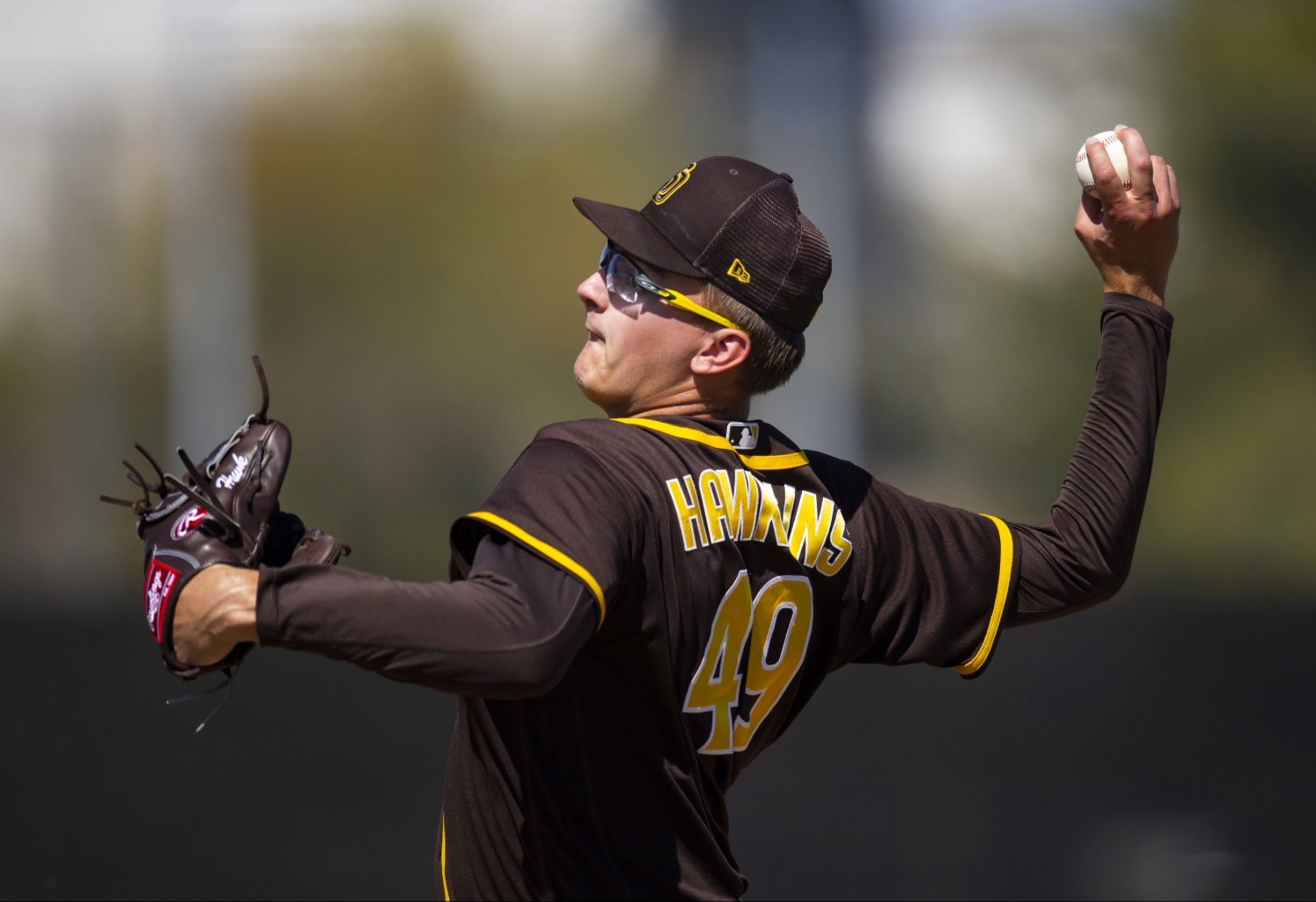 More information about "Padres Roster Update: San Diego Protects Two Prospects From Rule-5 Draft"