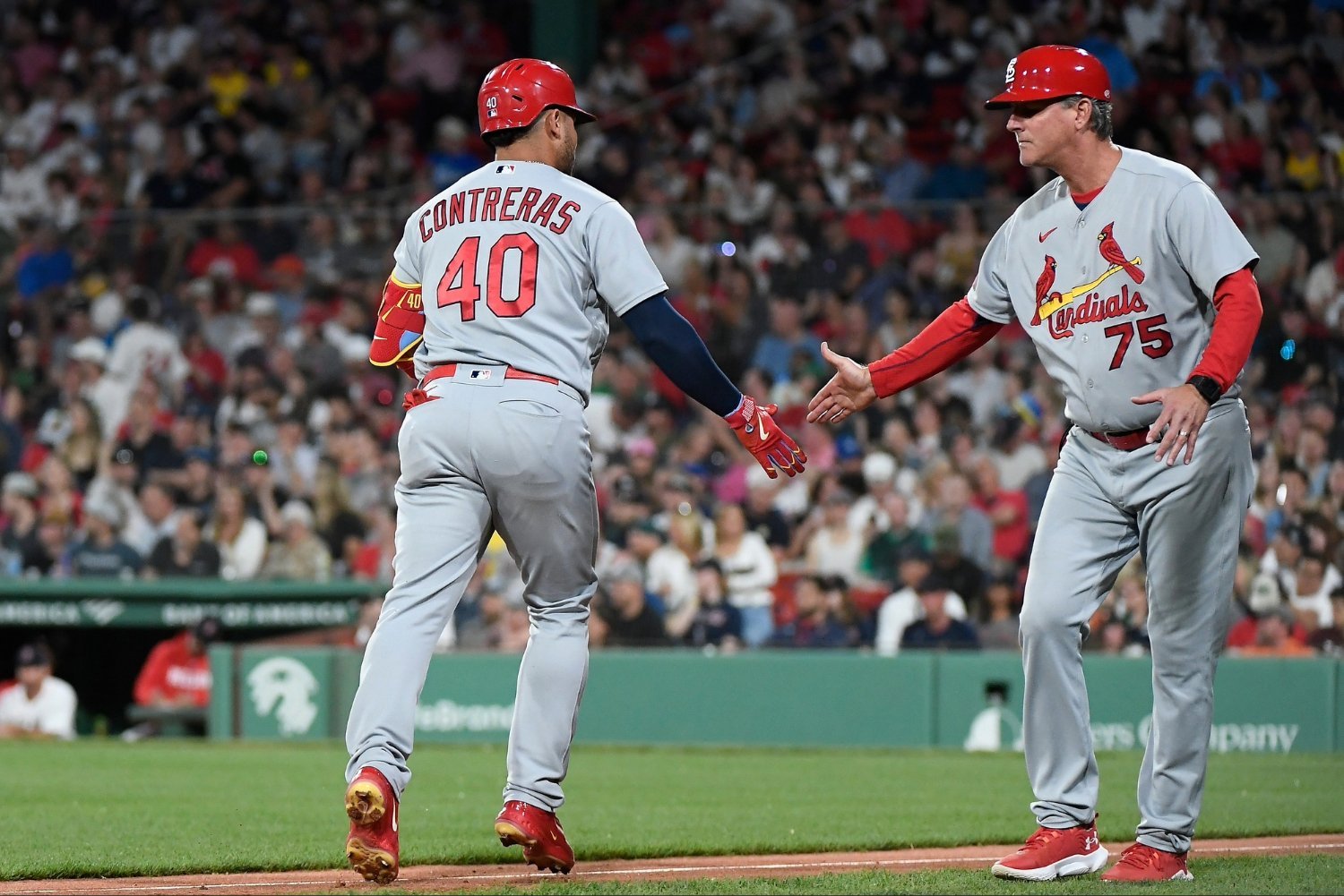 More information about "Willson Contreras Was Logical Next Step In Red Sox's Offseason Plans"