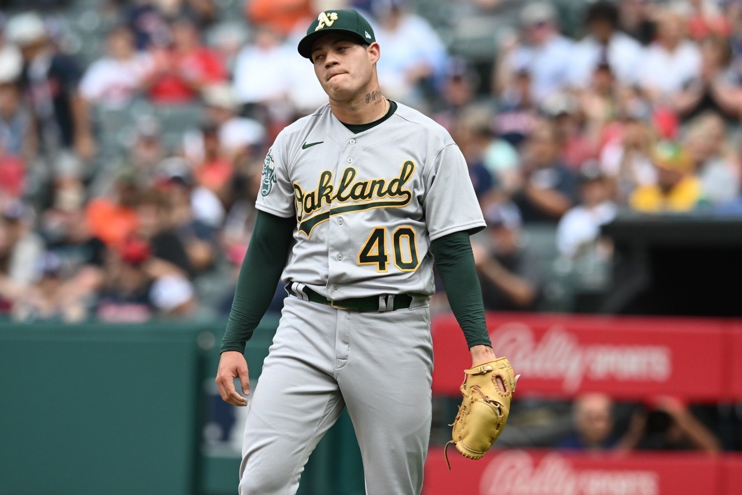 More information about "Chicago Cubs, Reliever Yacksel Rios Agree To Minor League Deal"