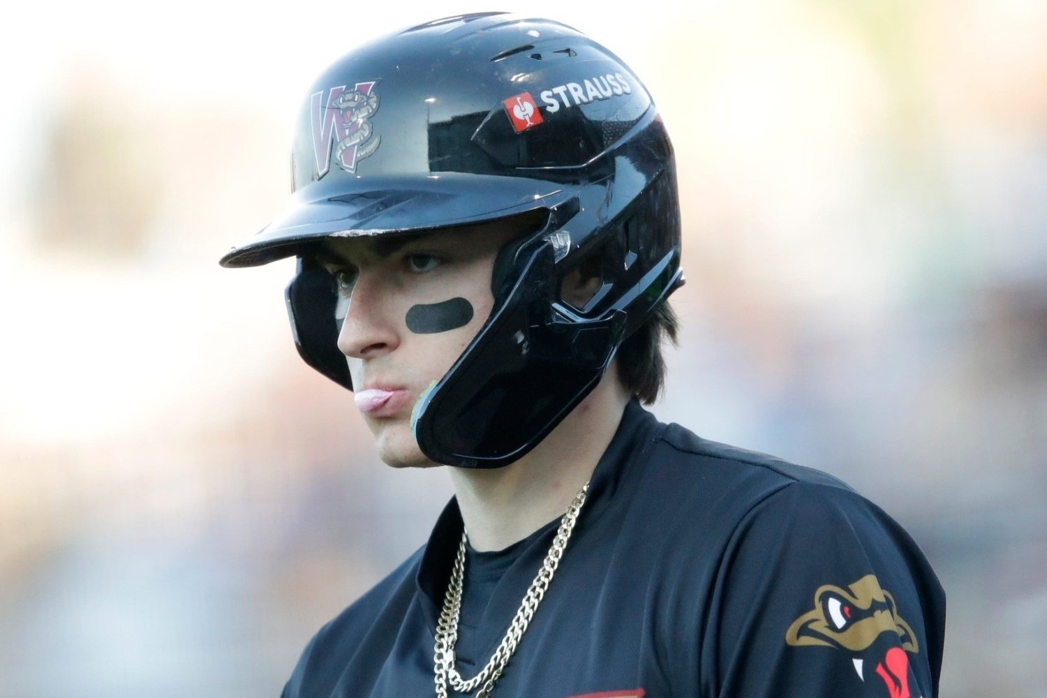 More information about "Milwaukee Brewers 2026 Top Prospects: No. 10, Marco Dinges"