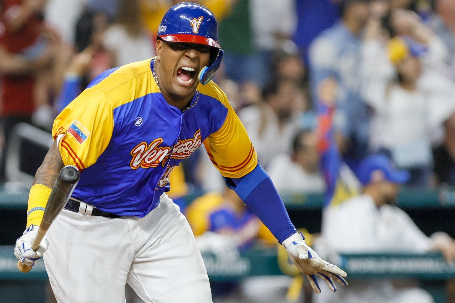 More information about "A Look At All Seven Royals Players Participating In The World Baseball Classic"
