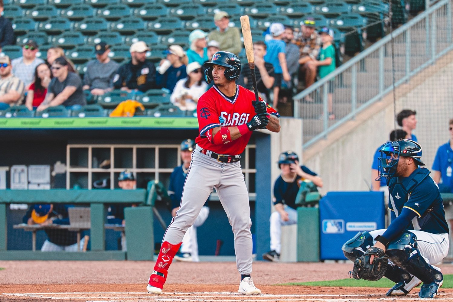 More information about "Twins Minor League Report (4/22): Jose Salas Knocks Two of 14 Home Runs in Twins Minors"
