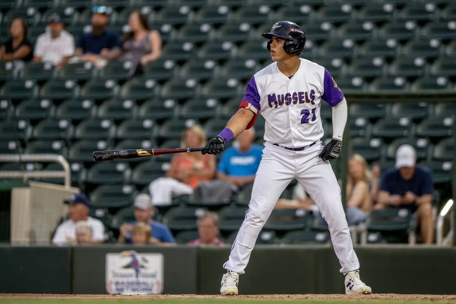 More information about "Twins Minor League Report (4/25): Marek Houston Streak Continues; Ramiro Villanueva Impresses in Mussels Debut"