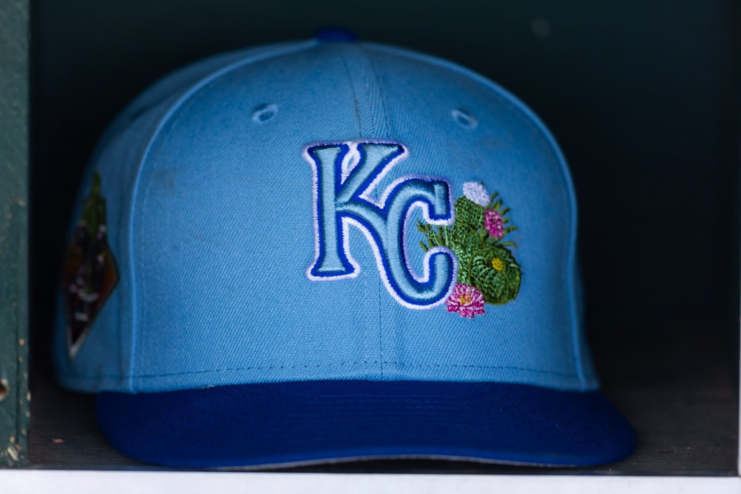 More information about "Five Hitters Sticking Out in the Arizona Complex League"