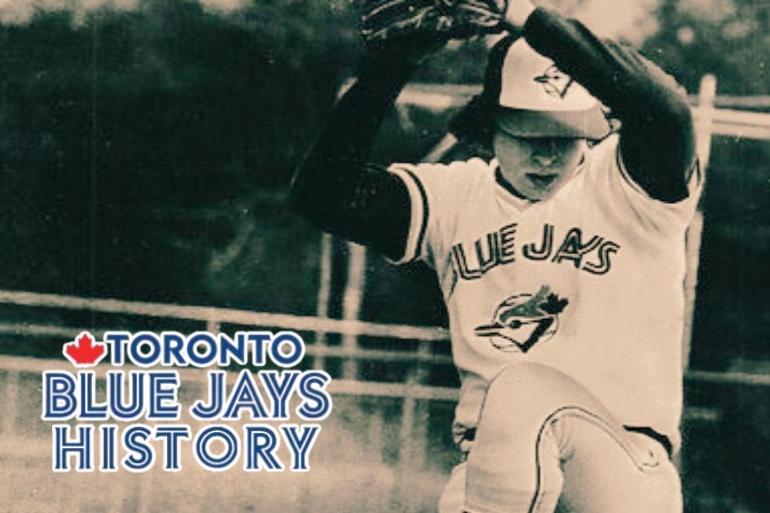More information about "The Angriest Blue Jay"