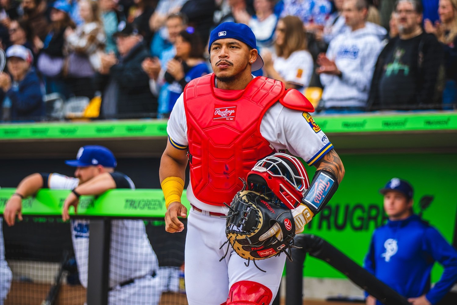 More information about "Twins Minor League Report (5/29): Ricardo Olivar's Triple-A Breakout; Carlos Taveras's 2026 Debut"