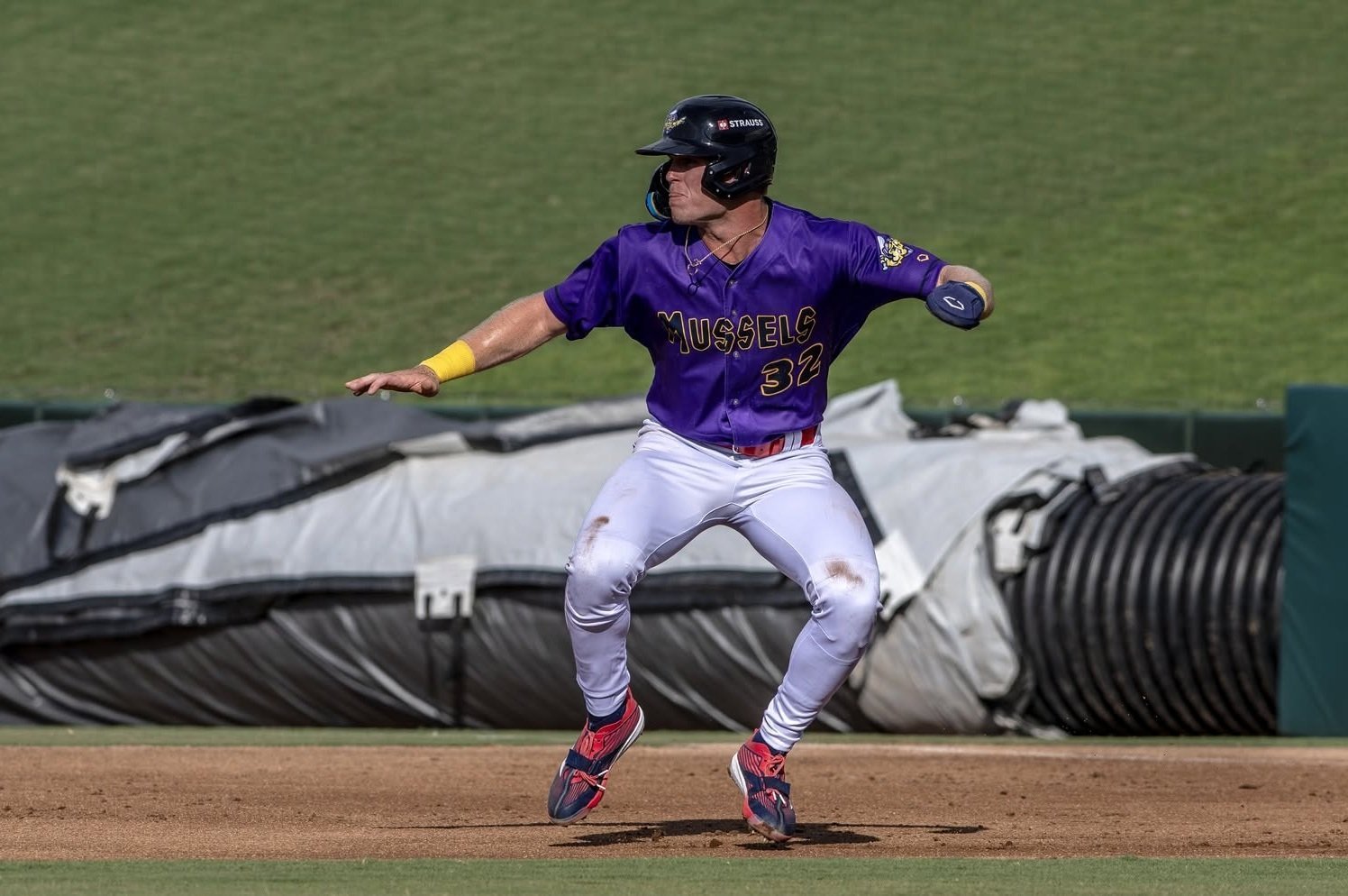 More information about "Twins Minor League Report (6/14+6/13): Bats Come Alive Everywhere"