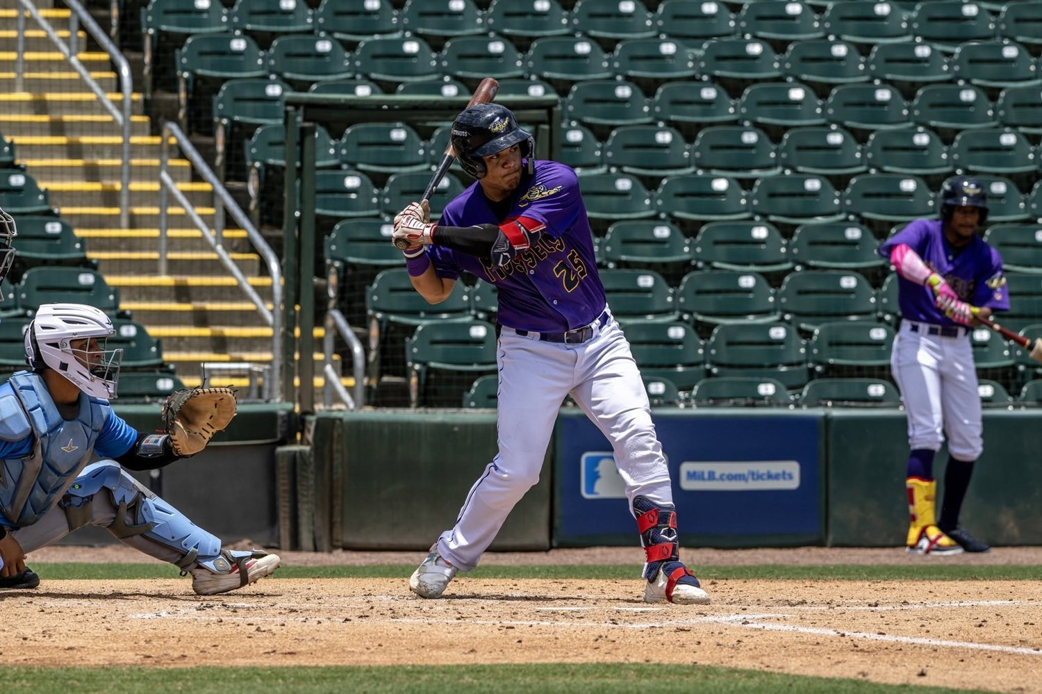 More information about "Twins Prospect Hot Sheet: Three Under-the-Radar Prospects You Should Know"