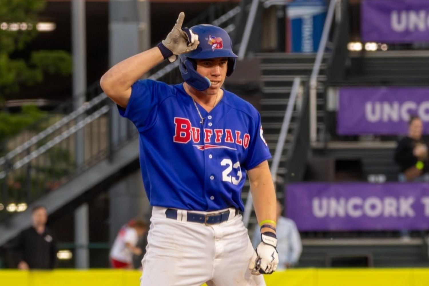 More information about "Blue Jays Minor League Recap: Buffalo's Bats Stand Out, While Young Hitters Star for Dunedin"
