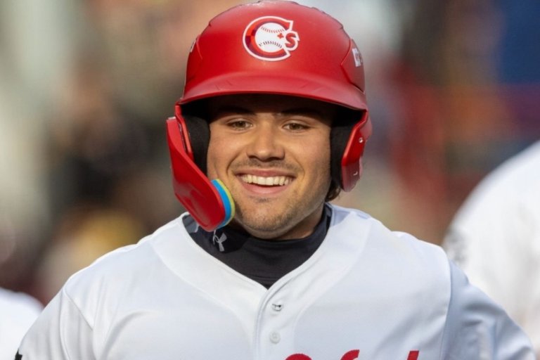 Blue Jays Minor League Recap: Sanchez Steals Home, and Shaw Homers in His Return to Vancouver