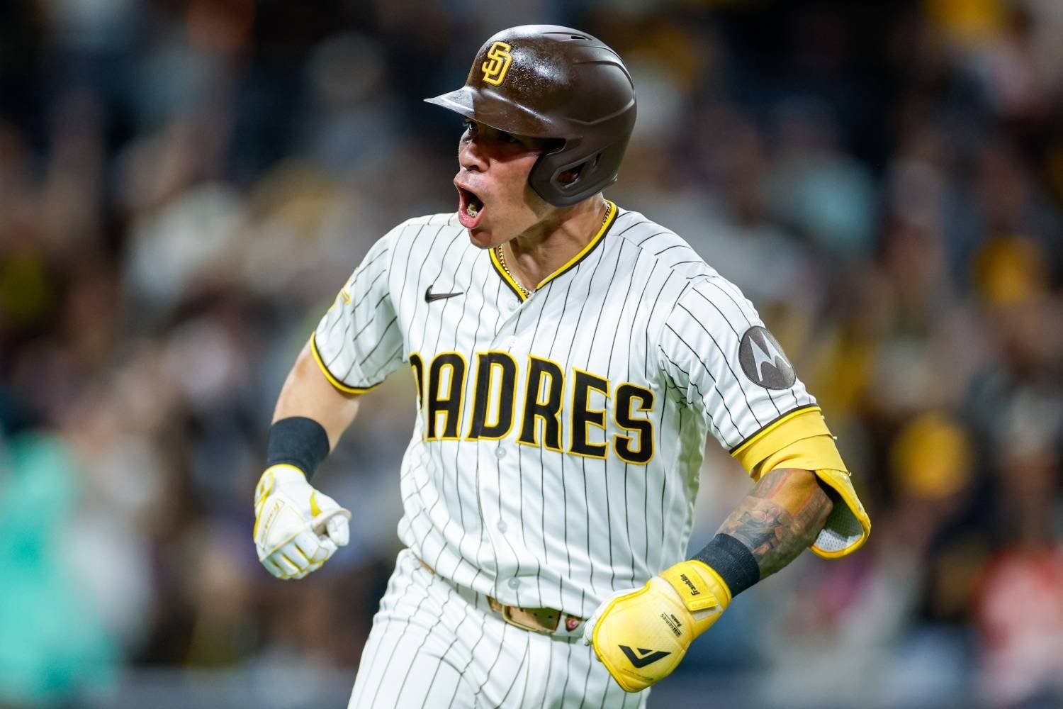 More information about "Padres Week in Review: At Least Freddy Fermin's Funk Is Over"