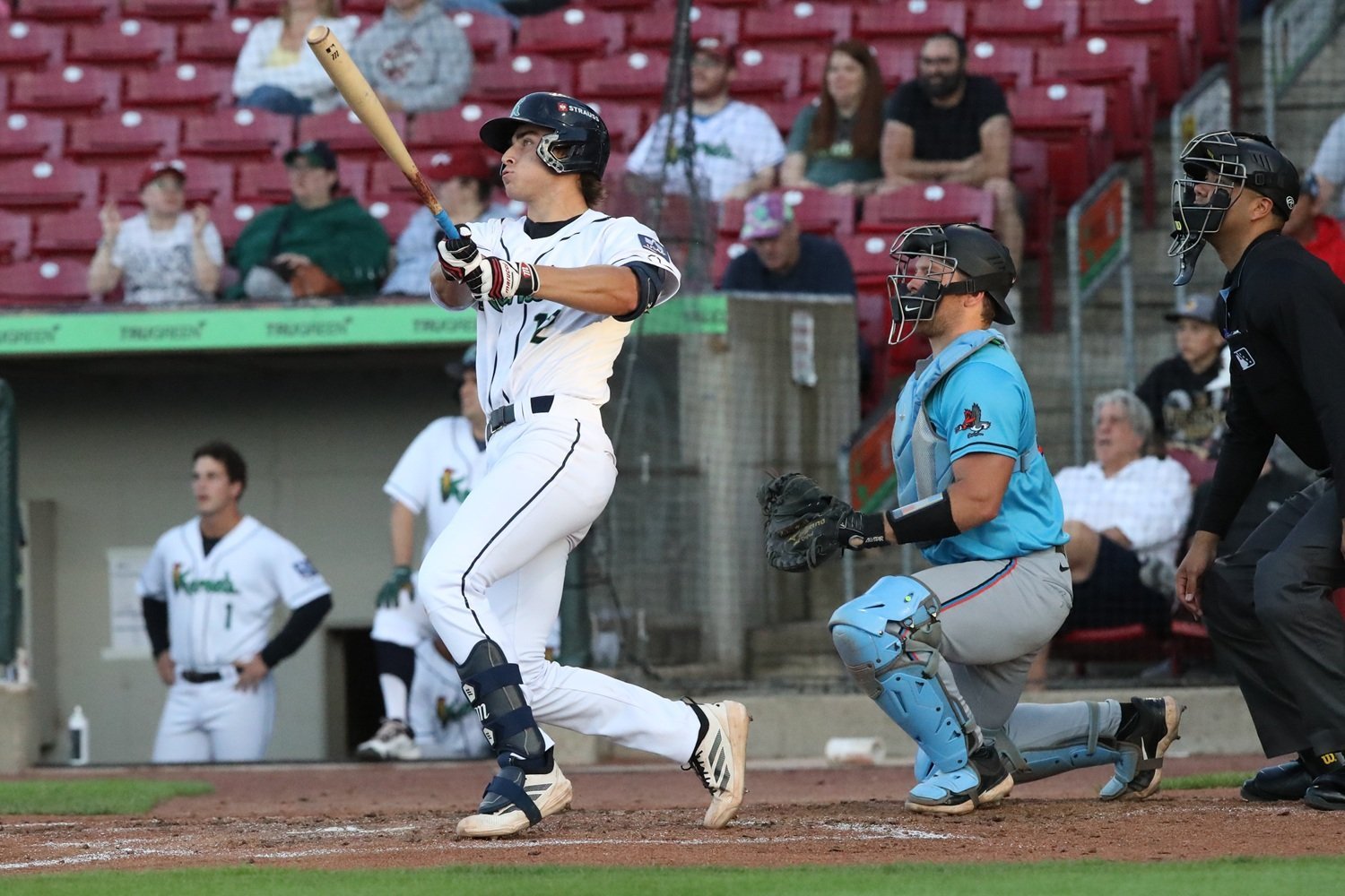 More information about "Twins Minor League Report (6/22): Walker Jenkins Back, Houston and Rosario Promoted, Walks Fuel the DSL Twins"