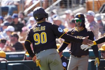 Vote For Your Top Padres Prospects!