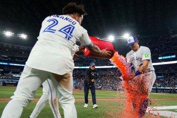 The Blue Jays' Player Development and Pro Scouting Are Quietly Powering a Resilient Season