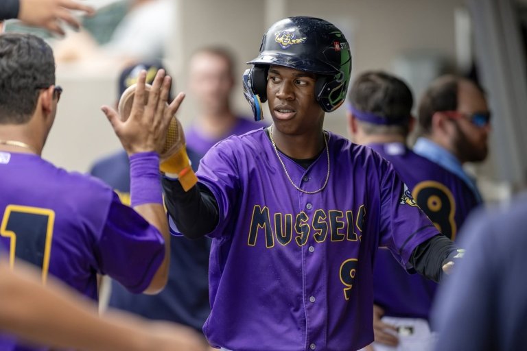 Twins Minor League Report (6/21): Alan Roden and Orlando Arcia, the New Bash Brothers?