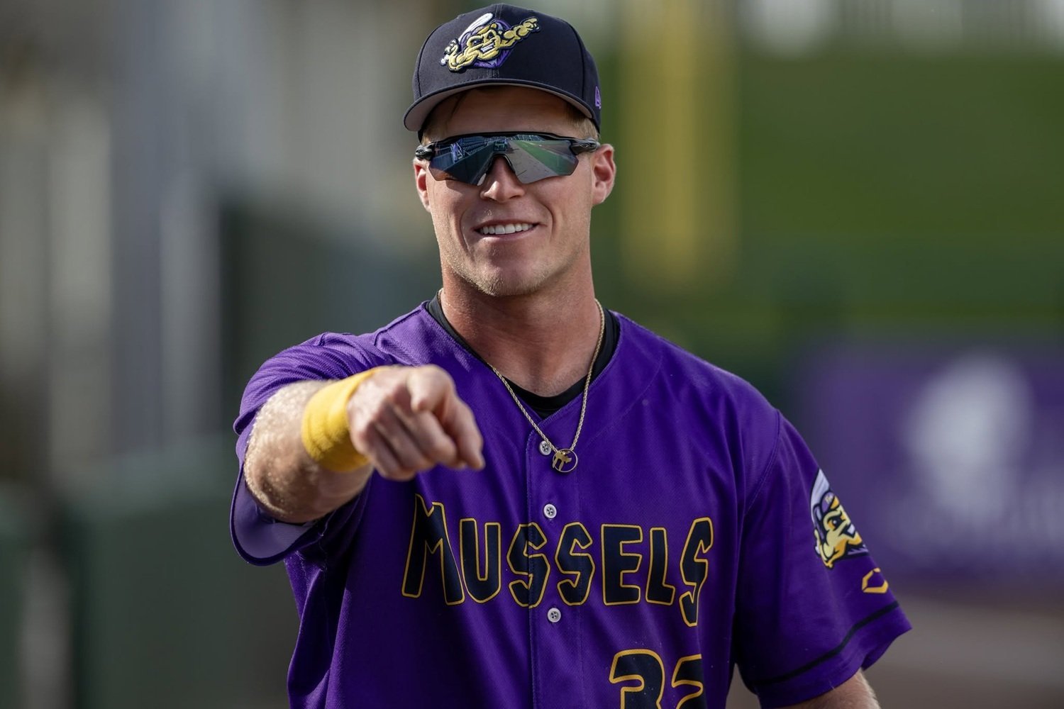 More information about "Twins Minor League Report (6/15): DSL Hit Parade, Jhomnardo Reyes Stays Hot, and Lots of Roster Moves"