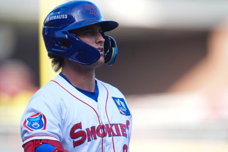 Cubs Minor League Hitters of the Month: June 2026