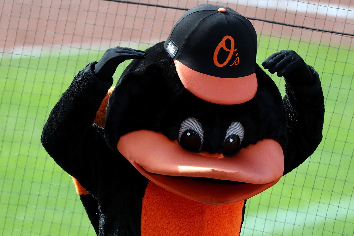More information about "Royals Trade OF Rudy Martin Jr to Orioles"