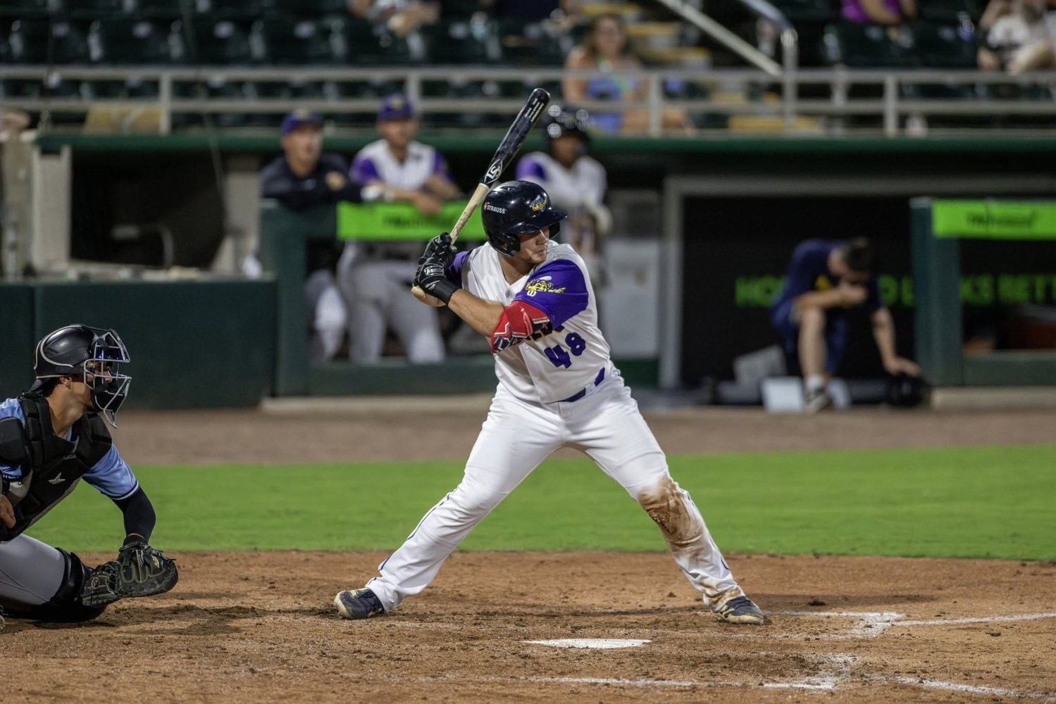 More information about "Minnesota Twins Minor League Hitters of the Month: June 2026"