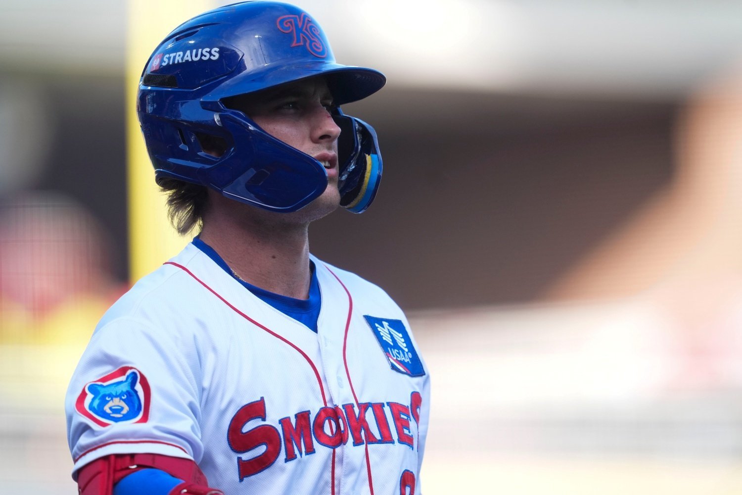 More information about "The Angels are Looking for a Catcher. Can the Cubs Help?"