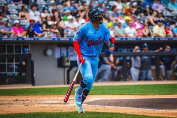 Twins Minor League Report (7/29): Hendry Mendez Comes up Clutch