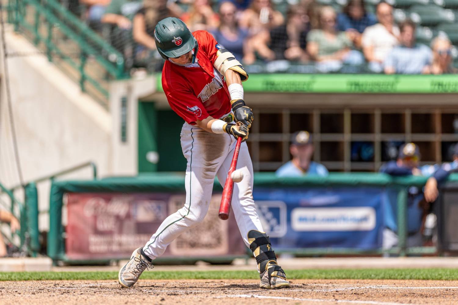 More information about "Padres Prospect Hot Sheet: Ryan Wideman Getting Hot Again With TinCaps"