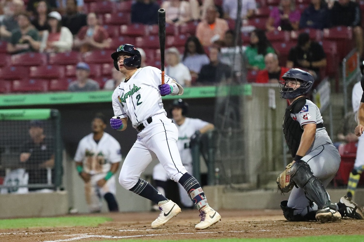 More information about "Twins Minor League Report (8/27): Ramiro Dominguez Makes Grand Entrance in Cedar Rapids"