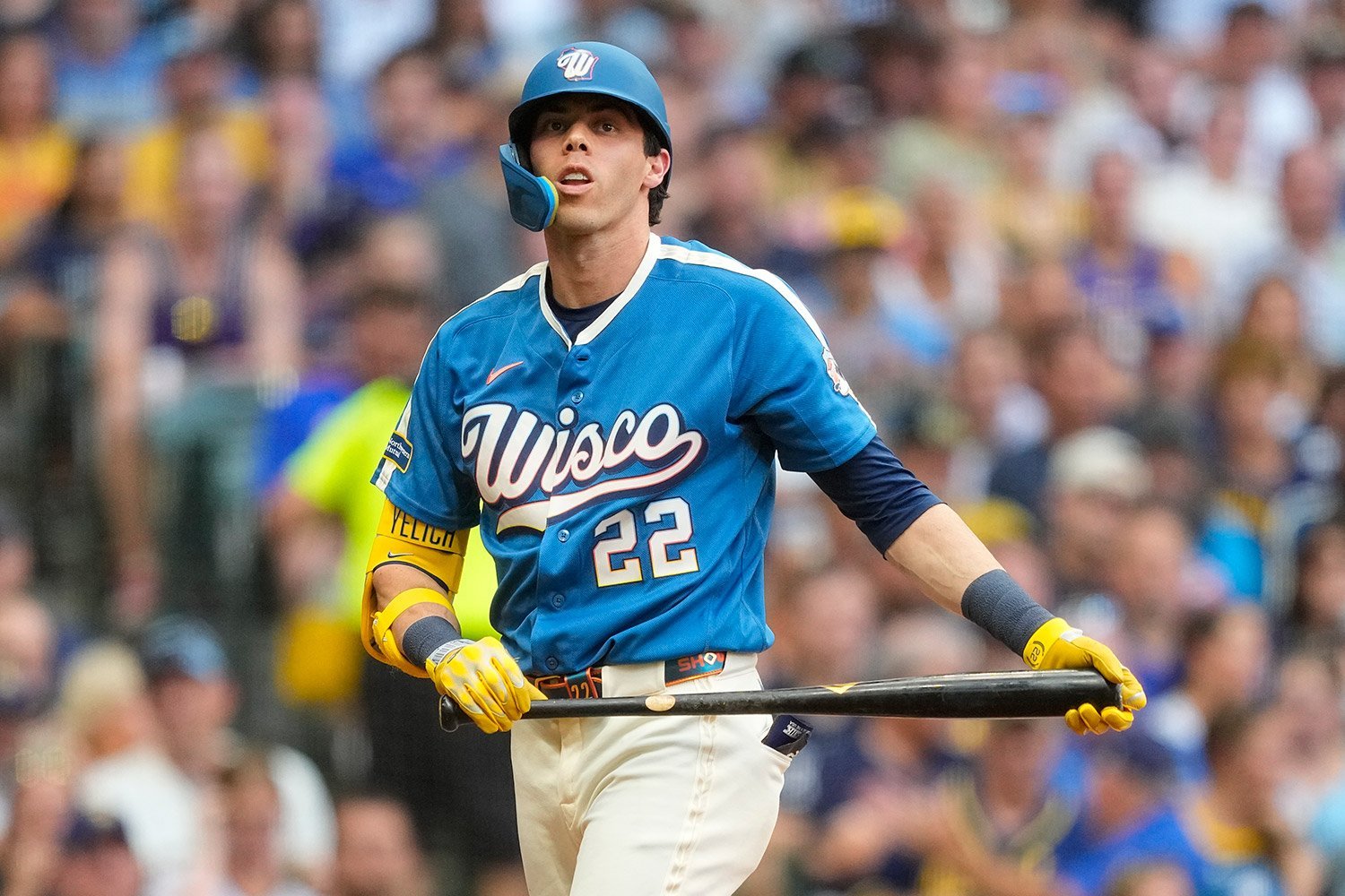 More information about "Christian Yelich Needs the Milwaukee Brewers Fan Base Now More Than Ever"