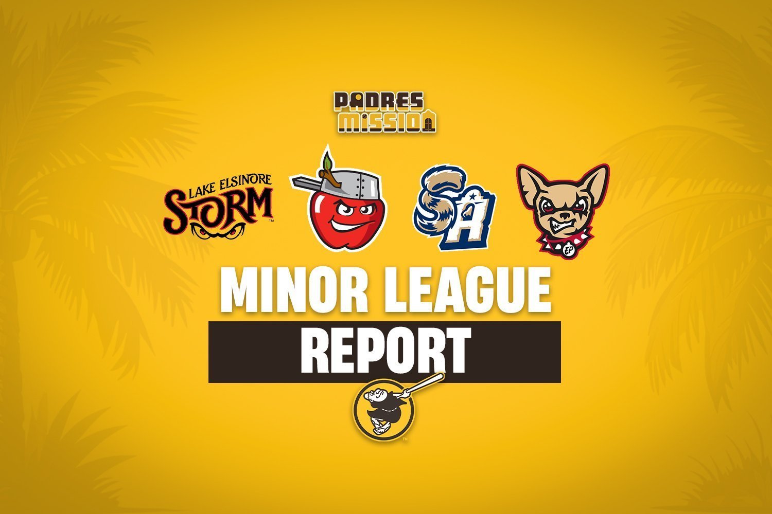 More information about "Padres Minor League Report: Cameron Nohos Strikes Out 9 In Storm Loss"