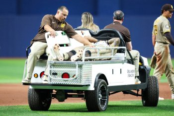 Luis Rengifo, Gavin Sheets Go On Padres' Injured List