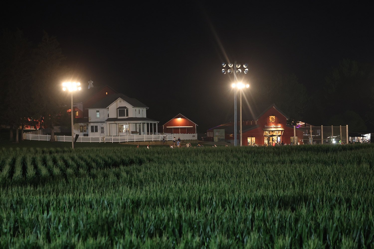More information about "Royals to play the Red Sox in Next Year's Field of Dreams Game"