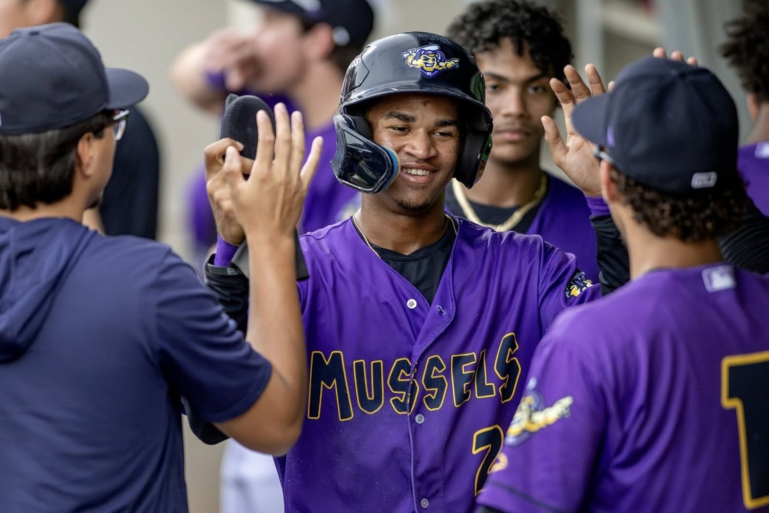 More information about "Twins Minor League Report (9/3): Merphy Hernandez Keeps Racking Up Hits, Steals"