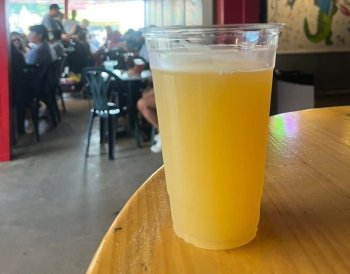 Bonnes Confirms Worst Loss of Season Was Spilled IPA