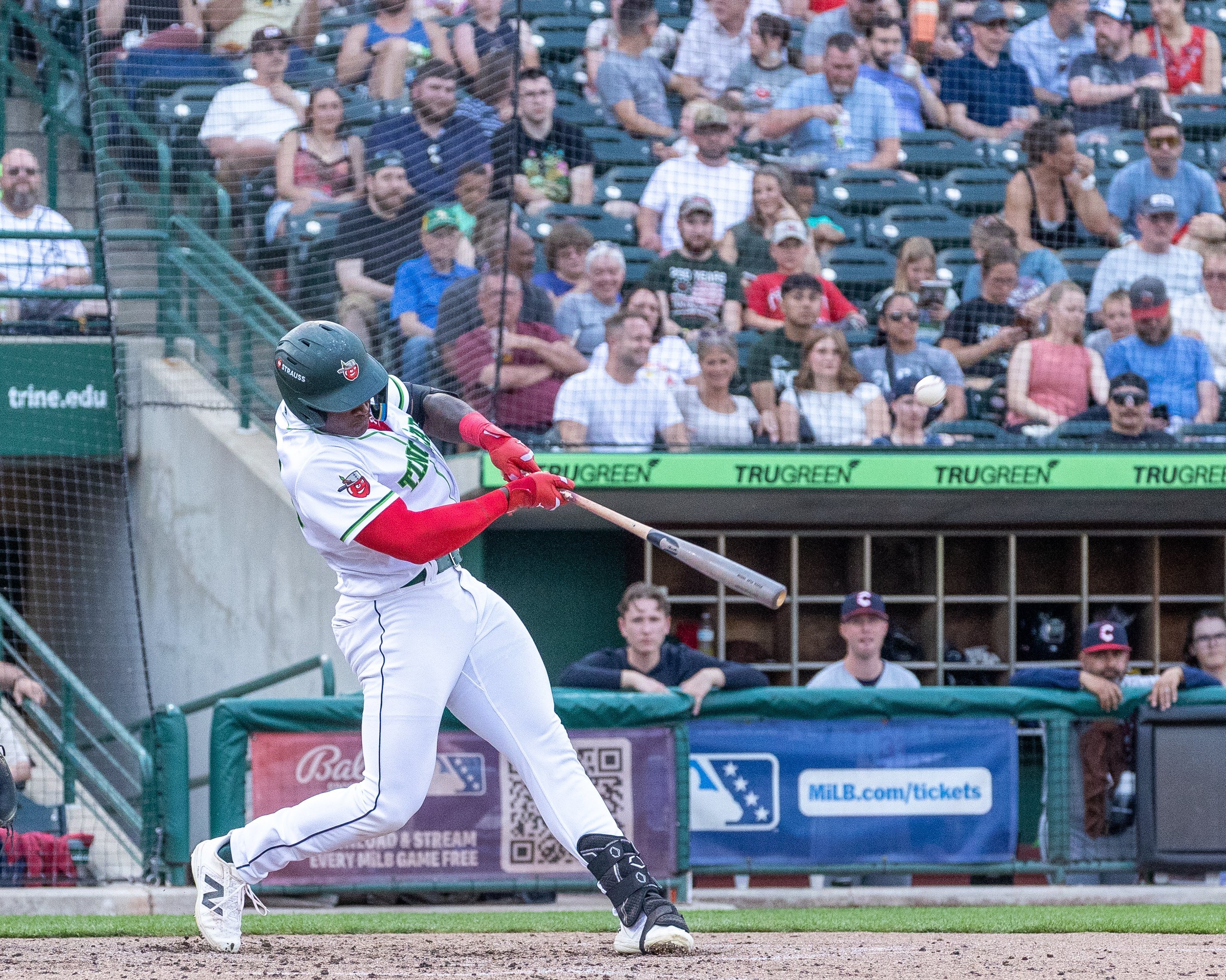 More information about "Biggest Winners and Losers In Padres’ Farm System In 2026"