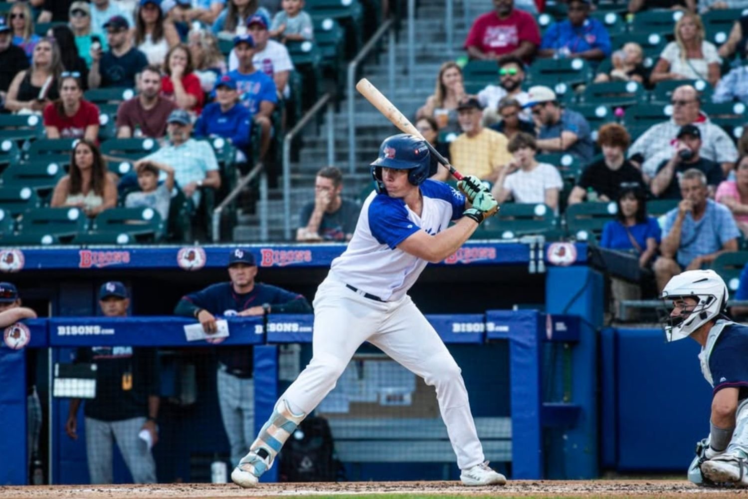 More information about "Toronto Blue Jays Minor League Hitters of the Month - August 2026"