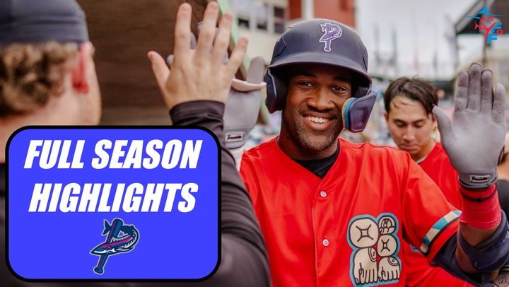 Dillon Lewis 2026 Marlins minor league highlights